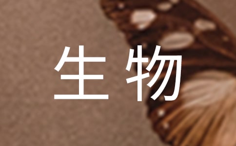 ѧλʵϰ