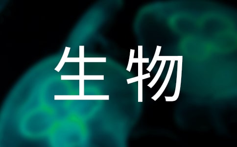 ѧרҵʵϰ