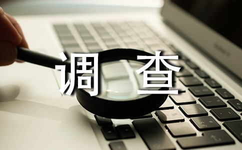 ʵϰ鱨ʽ