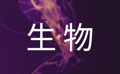 ҽѧ＼רҵҵʵϰ