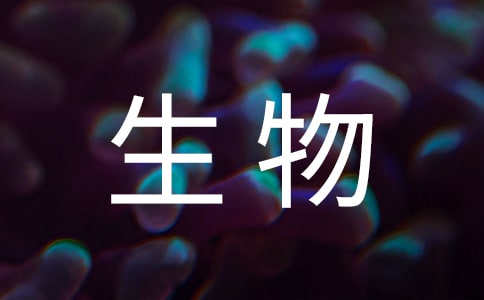 ﹤ʵϰ淶