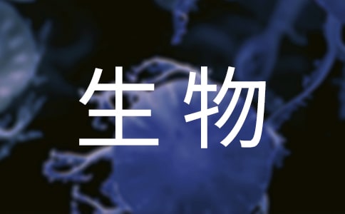 2020ѧҵʵϰ