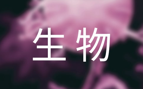 9´ѧʵϰ淶
