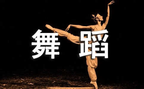 赸רҵʵϰܽ