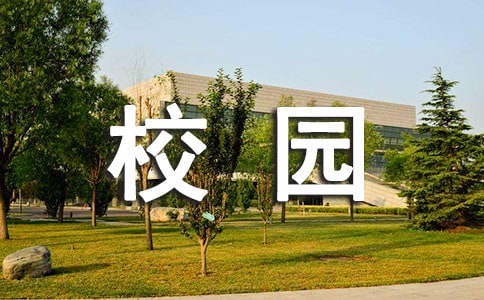 У԰鱨ʽ
